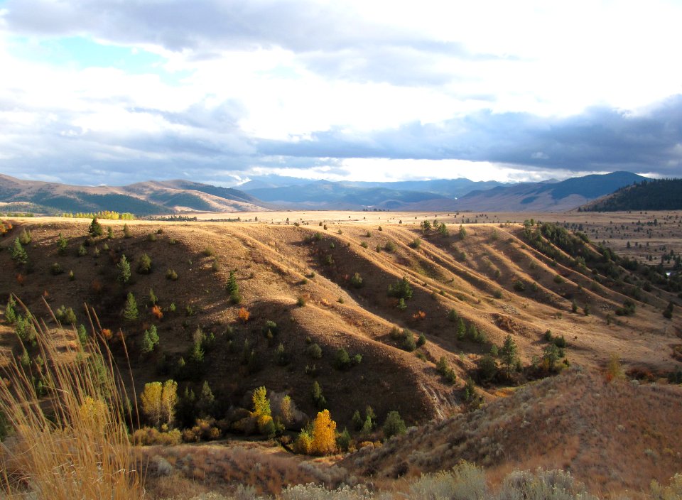 Rangeland171.JPG