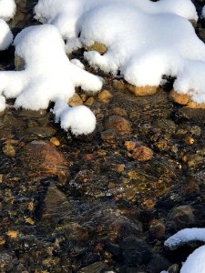 SNOW32