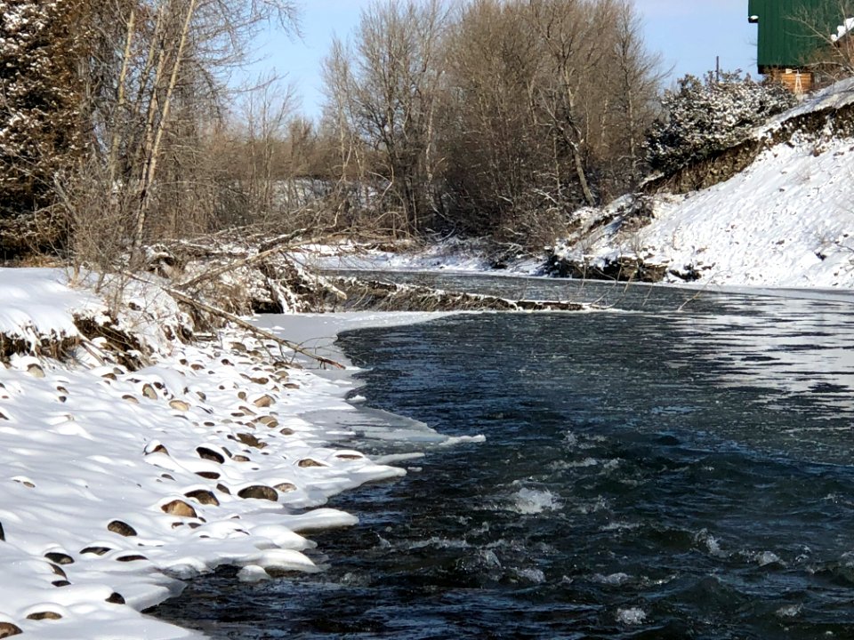 SNOW43