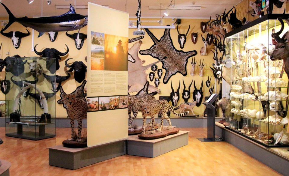 Suomen Metsästysmuseo