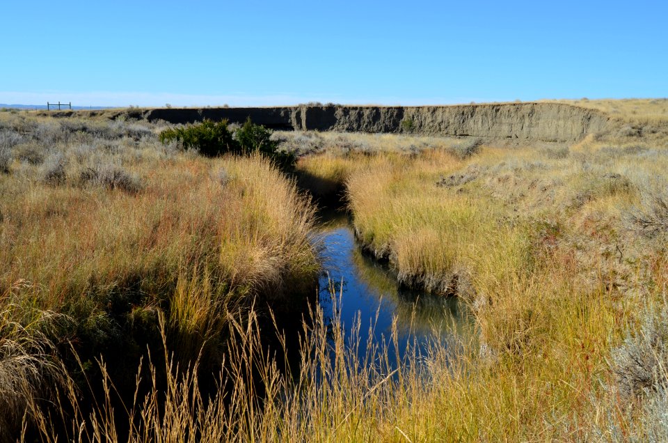 Riparian122
