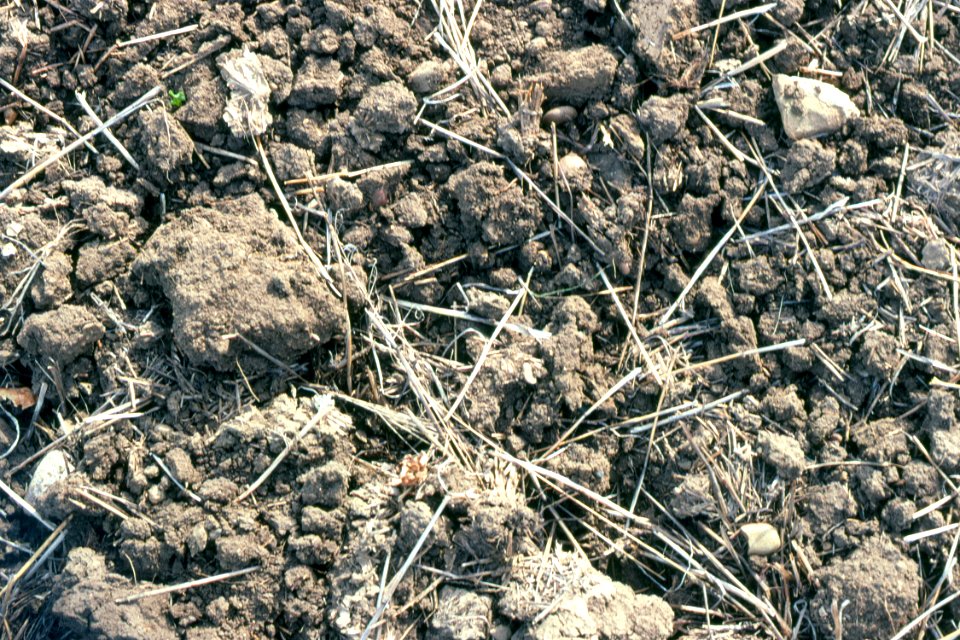 Crop Residue Management12.tif