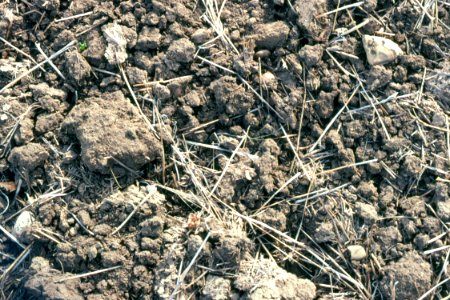 Crop Residue Management12.tif