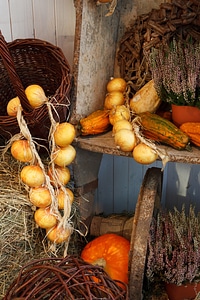 Basket fall food photo