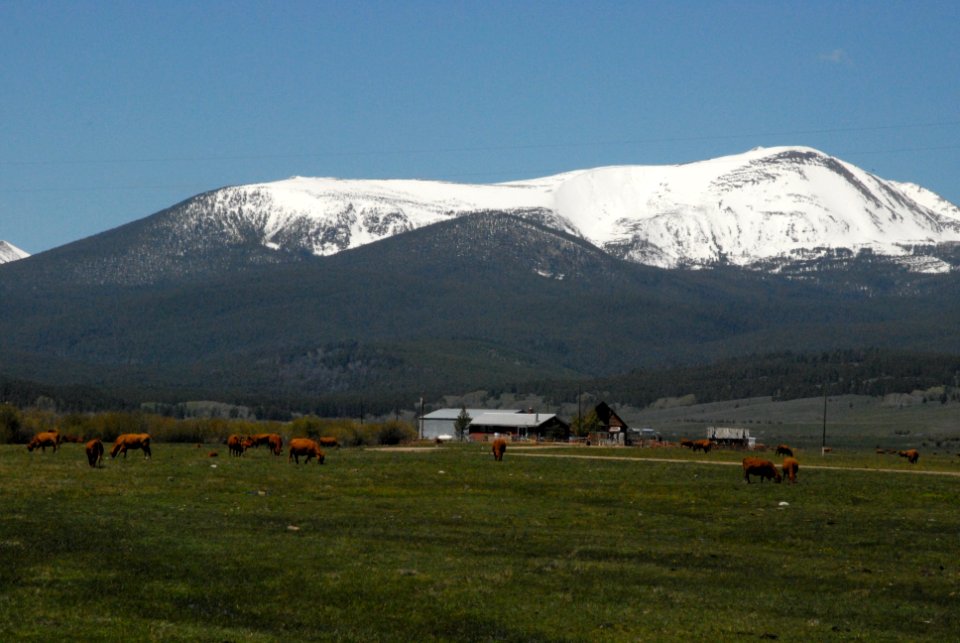 Scenic098.jpg