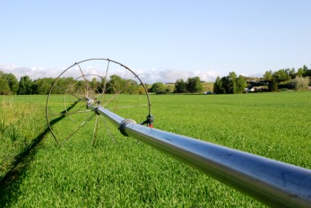 Irrigation84
