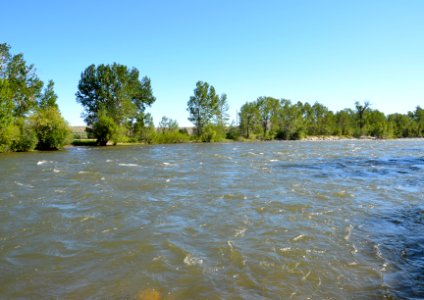 Riparian119