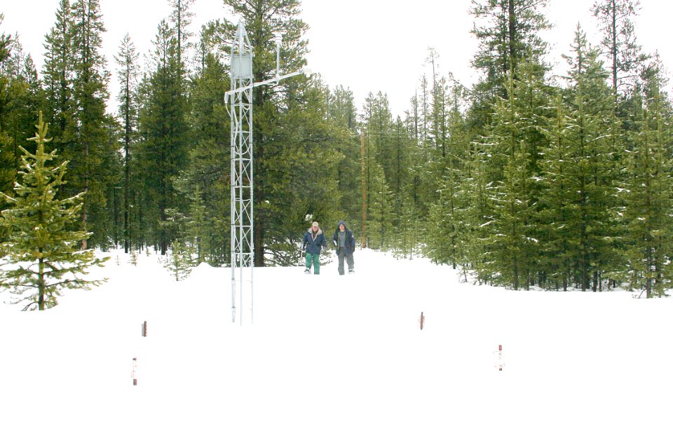 Snow Survey89 photo