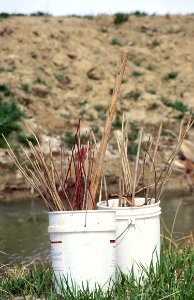 Conservation Education18.tif