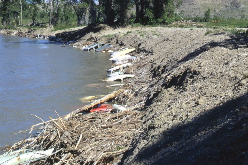 Critical Area Stabilization30.tif