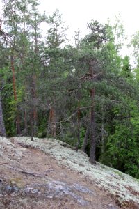 Unikonlinnan linnavuori, Janakkala