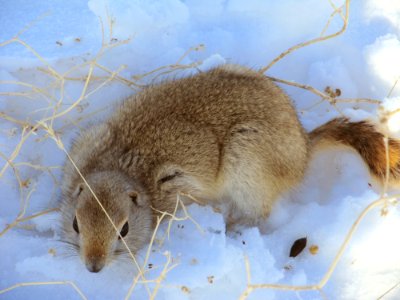 Wildlife151