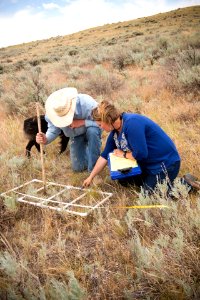 5849 NRCS projects.jpg