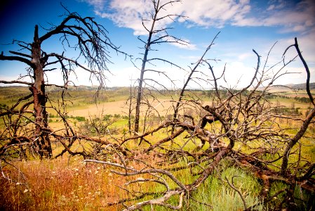 6469 NRCS projects.jpg