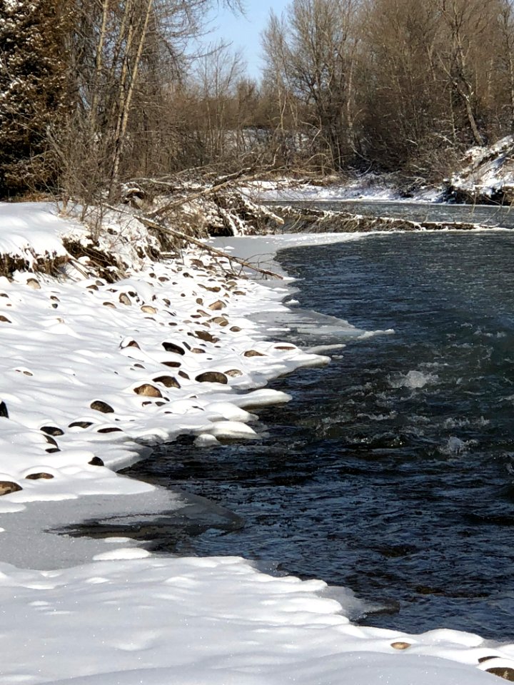 SNOW42