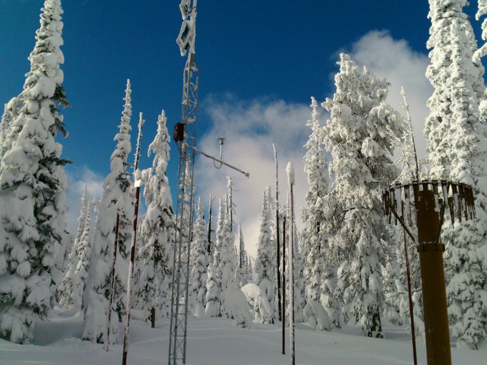 Snow Survey136.jpg