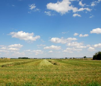 Hay13.tif