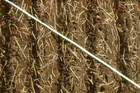 Crop Residue Management26.tif