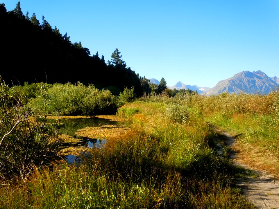 Wildlife Habitat15.JPG