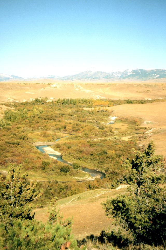 Riparian27.tif