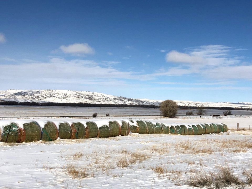SNOW65
