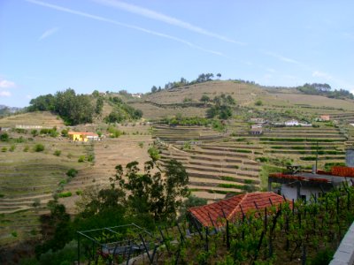 DSC05403