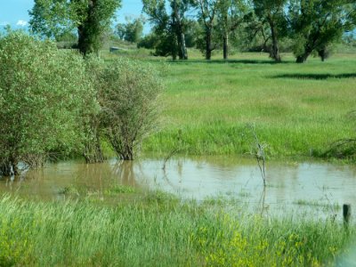 Floods116
