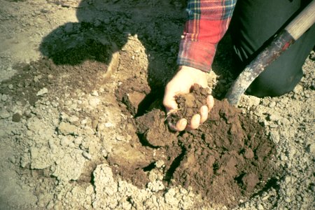 Soil Survey02.tif