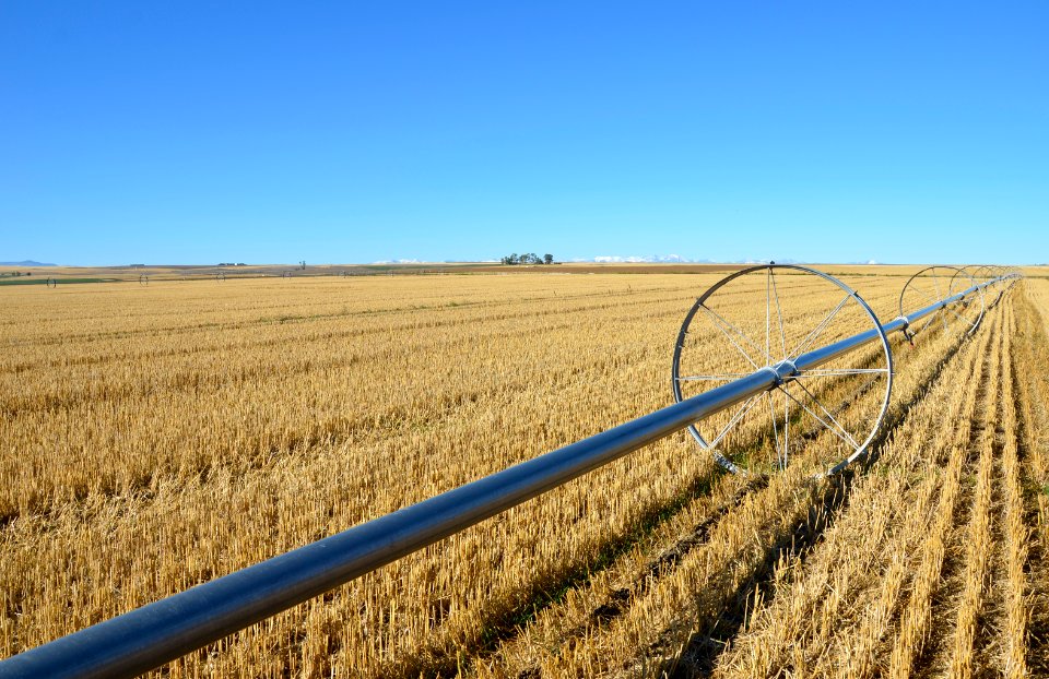 Irrigation82