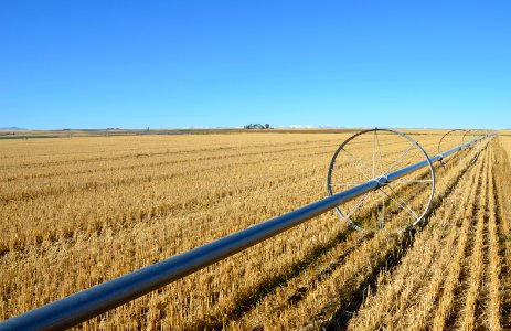 Irrigation82