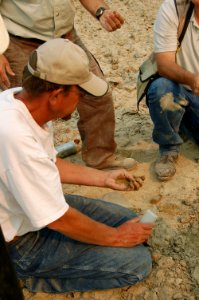 Soil Survey 108.tif photo