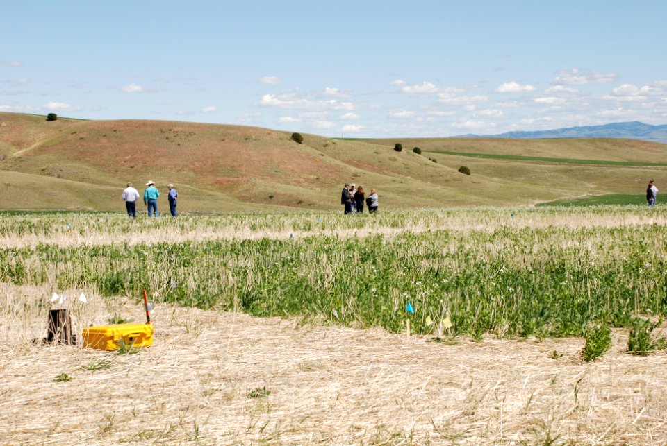 Cover Crops Tour 104