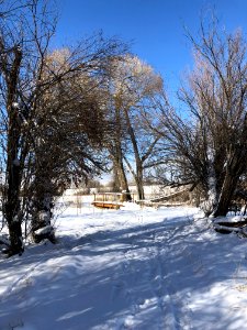 SNOW59
