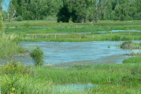 Floods118