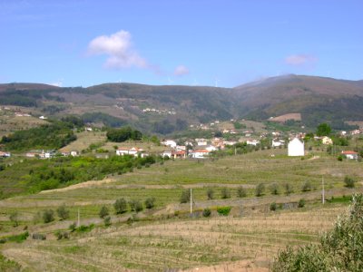 DSC05347