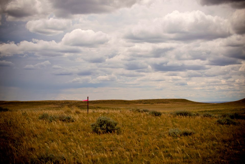 6868 NRCS projects.jpg