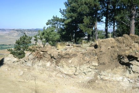 Soil Survey95.tif