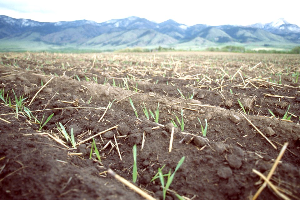 Crop Residue Management21.tif