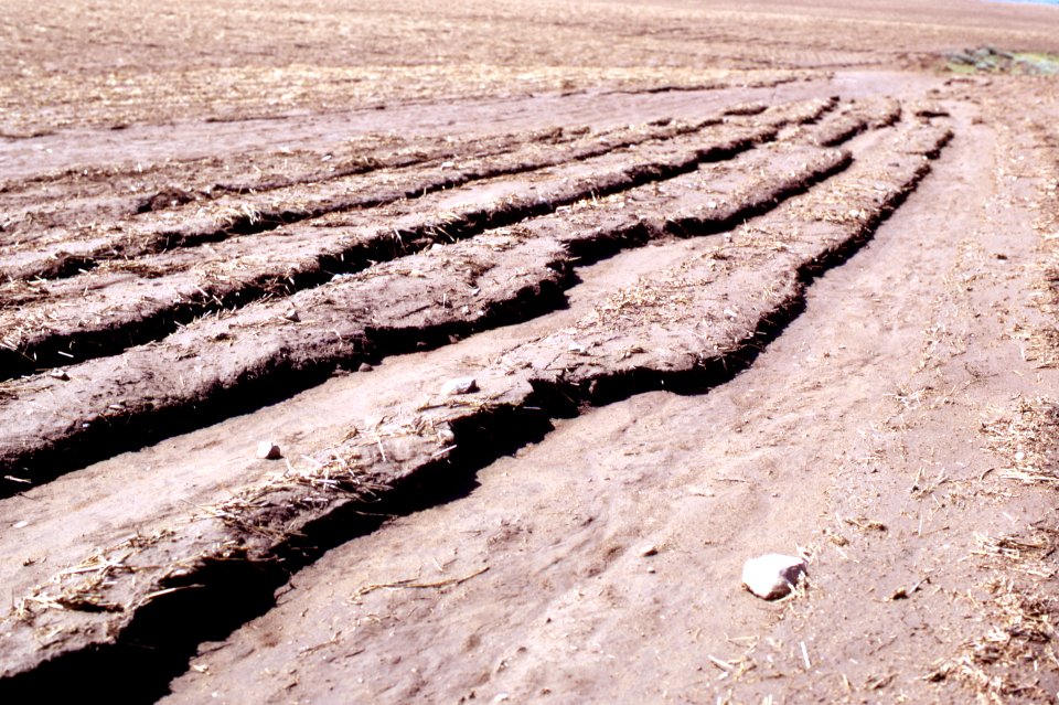 Erosion12.tif