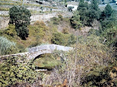 Ponte Cavalar 2
