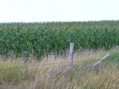 Crops110