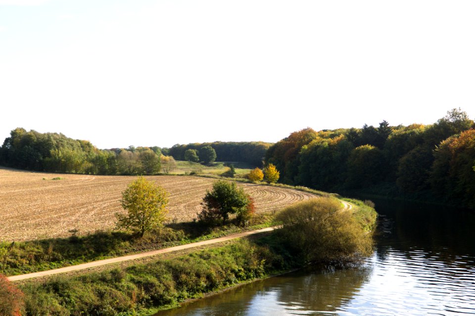 field and forest