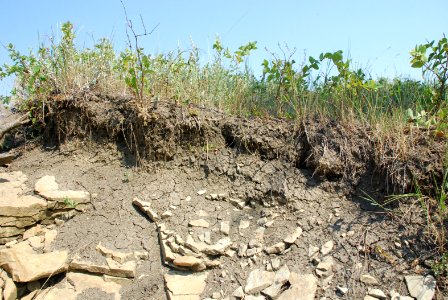Erosion82