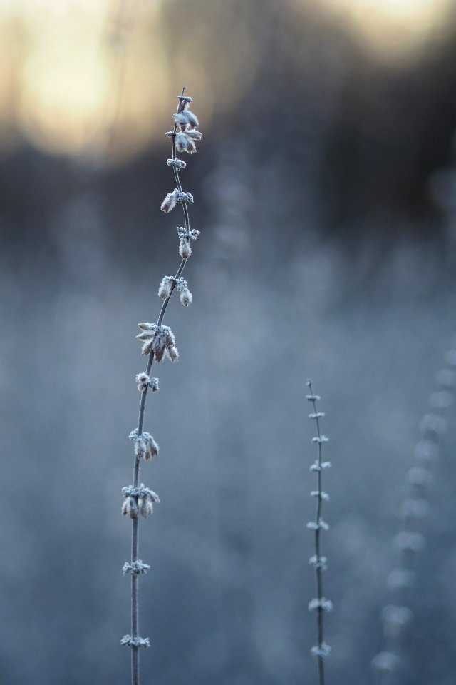 Winter is coming
