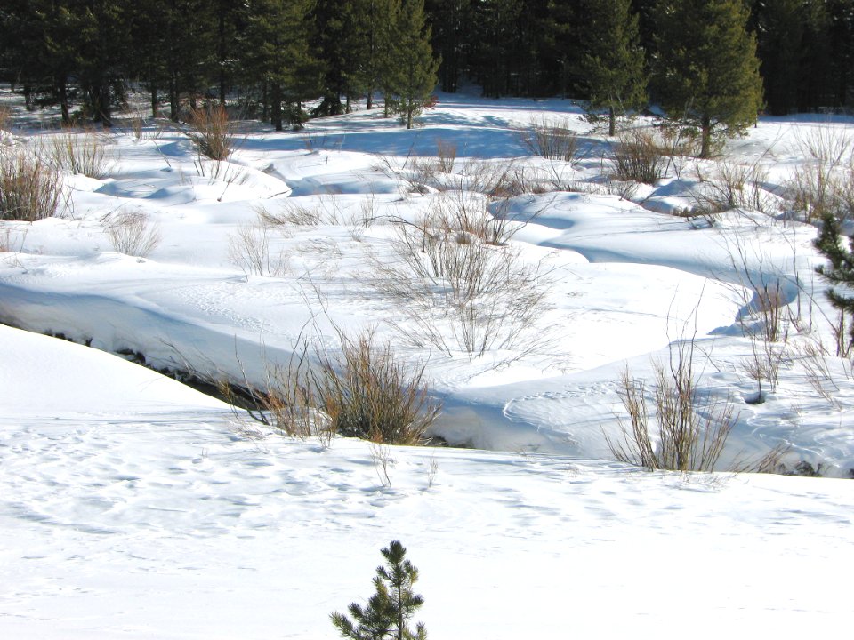 Snow Survey113.jpg