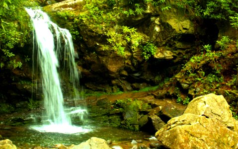 Grotto Falls photo