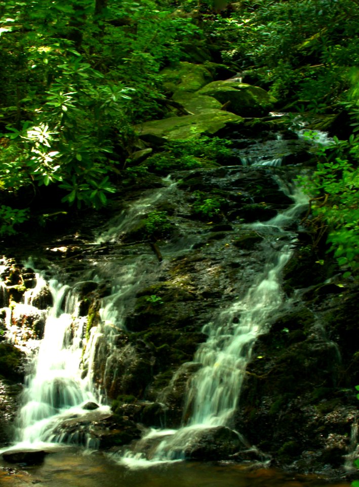 Seasonal Cascade Smoky Mountains (Vertical)