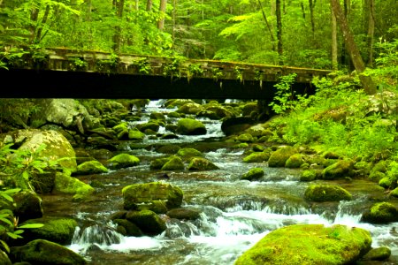 Motor Bridge   Roaring Fork