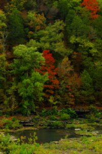 Fall Colors Cumberland Plateau Tennessee