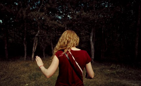 towards the woods